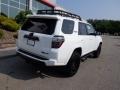 Ice Cap - 4Runner TRD Pro 4x4 Photo No. 23