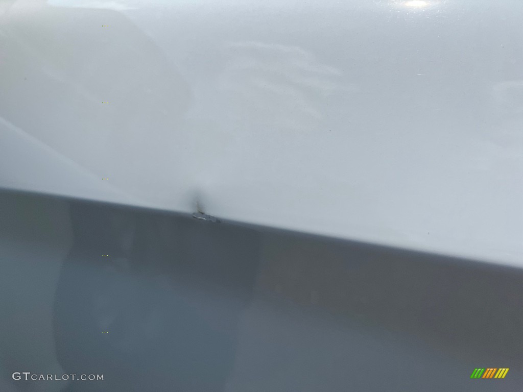 2021 Charger GT - White Knuckle / Black photo #10