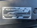 Destroyer Gray - Charger R/T w/Performance Handling Group Photo No. 11