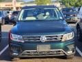Dark Moss Green Metallic - Tiguan SE 4MOTION Photo No. 2