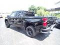 Black - Silverado 1500 LT Trail Boss Crew Cab 4x4 Photo No. 3