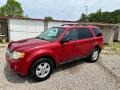 Sangria Red Metallic 2011 Ford Escape XLT V6 Exterior