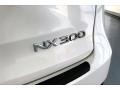 2021 Lexus NX 300 Marks and Logos