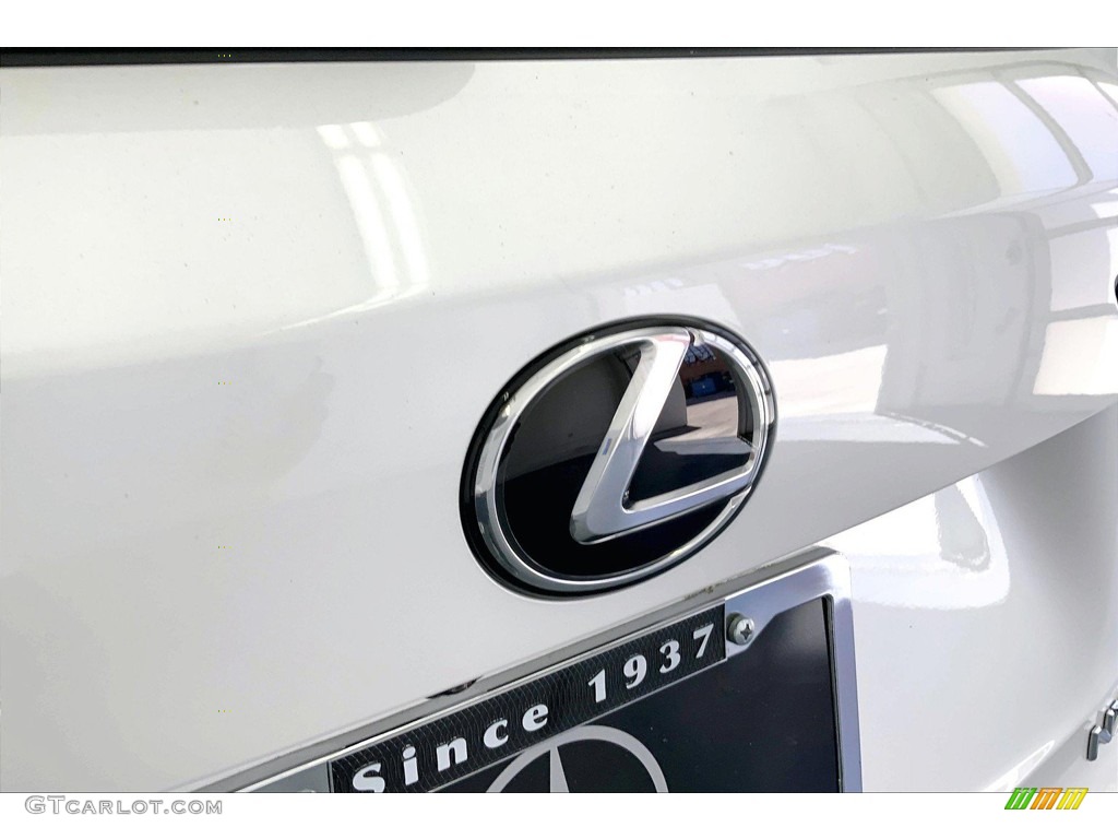 2021 NX 300 - Eminent White Pearl / Glazed Caramel photo #30