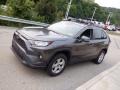 Magnetic Gray Metallic - RAV4 XLE AWD Photo No. 16