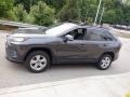 Magnetic Gray Metallic - RAV4 XLE AWD Photo No. 17