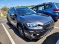 Magnetite Gray Metallic - Crosstrek Sport Photo No. 2