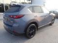 Polymetal Gray - CX-5 S Carbon Edition AWD Photo No. 2