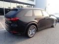 Jet Black Mica - CX-90 Preferred Plus AWD Photo No. 2