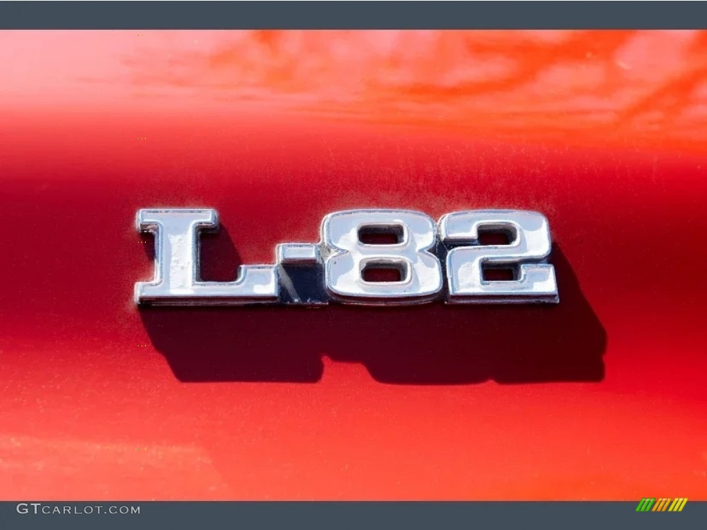 1978 Corvette Anniversary Edition Coupe - Red / Light Beige photo #14