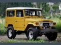 Yellow 1981 Toyota Land Cruiser FJ40 Exterior