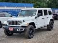 Anvil - Wrangler 4-Door Sahara 4xe Hybrid Photo No. 1