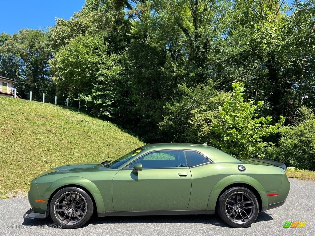 2019 Challenger R/T Scat Pack Widebody - F8 Green / Black photo #1