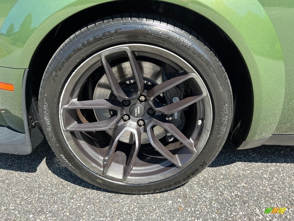 2019 Challenger R/T Scat Pack Widebody - F8 Green / Black photo #9