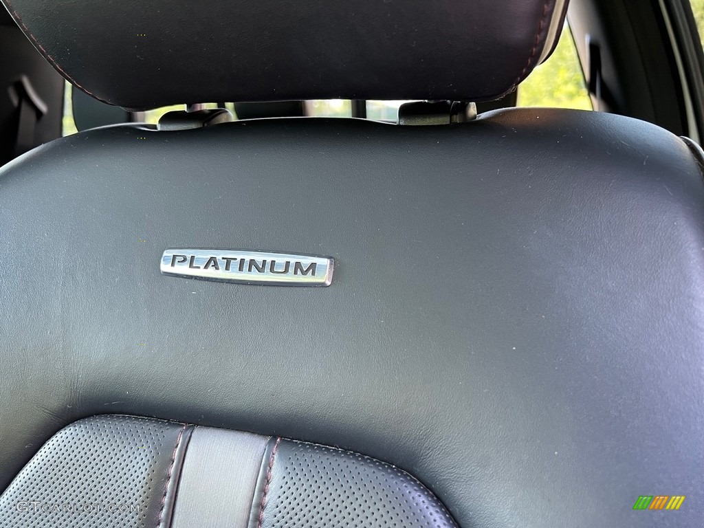 2020 Ford F350 Super Duty Platinum Crew Cab 4x4 Marks and Logos Photos
