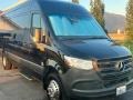 2020 Jet Black Mercedes-Benz Sprinter 3500 Passenger Van Conversion  photo #2