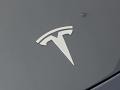  2020 Model 3 Long Range Logo