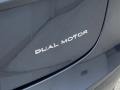  2020 Model 3 Long Range Logo