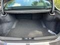 Black Trunk Photo for 2023 Dodge Charger #146432300