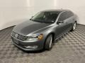 Platinum Gray Metallic - Passat TDI SEL Photo No. 10