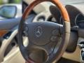 Stone Steering Wheel Photo for 2007 Mercedes-Benz SL #146432914