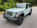 Earl - Wrangler 4-Door Sport 4x4 Photo No. 2