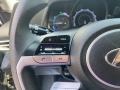  2021 Elantra Blue Hybrid Steering Wheel