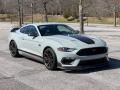 Fighter Jet Gray 2021 Ford Mustang Mach 1 Exterior