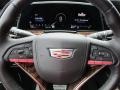 2022 Black Raven Cadillac Escalade Premium Luxury Platinum 4WD  photo #19