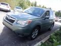 Jasmine Green Metallic - Forester 2.5i Premium Photo No. 6