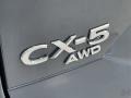 Polymetal Gray Metallic - CX-5 S Carbon Edition AWD Photo No. 10