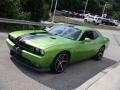 Green with Envy - Challenger SRT8 392 Photo No. 16