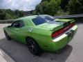 Green with Envy - Challenger SRT8 392 Photo No. 18