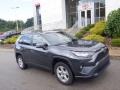 Magnetic Gray Metallic 2020 Toyota RAV4 XLE AWD