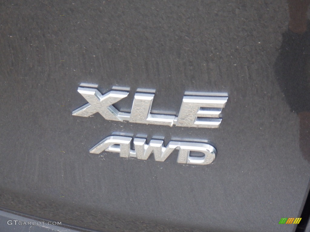 2020 Toyota RAV4 XLE AWD Marks and Logos Photos