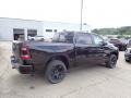 Diamond Black Crystal Pearl - 1500 Big Horn Night Edition Crew Cab 4x4 Photo No. 5