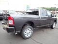 Granite Crystal Metallic - 2500 Big Horn Crew Cab 4x4 Photo No. 6