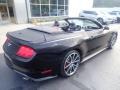 2019 Shadow Black Ford Mustang EcoBoost Premium Convertible  photo #2