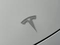 2018 Tesla Model 3 Long Range AWD Badge and Logo Photo