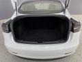 Black Trunk Photo for 2018 Tesla Model 3 #146468300