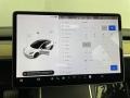 Black Controls Photo for 2018 Tesla Model 3 #146468573