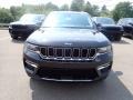 Rocky Mountain Pearl - Grand Cherokee 4XE Photo No. 8