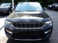 Rocky Mountain Pearl - Grand Cherokee 4XE Photo No. 9