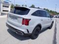 Wolf Gray - Sorento SX Prestige AWD Photo No. 10
