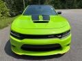 Sublime Metallic - Charger Scat Pack Daytona 392 Photo No. 3