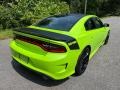 Sublime Metallic - Charger Scat Pack Daytona 392 Photo No. 5