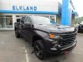 Dark Ash Metallic - Silverado 1500 Custom Trail Boss Crew Cab 4x4 Photo No. 4