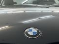 2019 Black Sapphire Metallic BMW 5 Series 530e iPerformance Sedan  photo #8