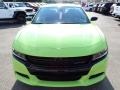 Sublime Metallic - Charger SXT AWD Blacktop Photo No. 9