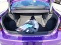 Plum Crazy Pearl - Charger SXT AWD Blacktop Photo No. 5